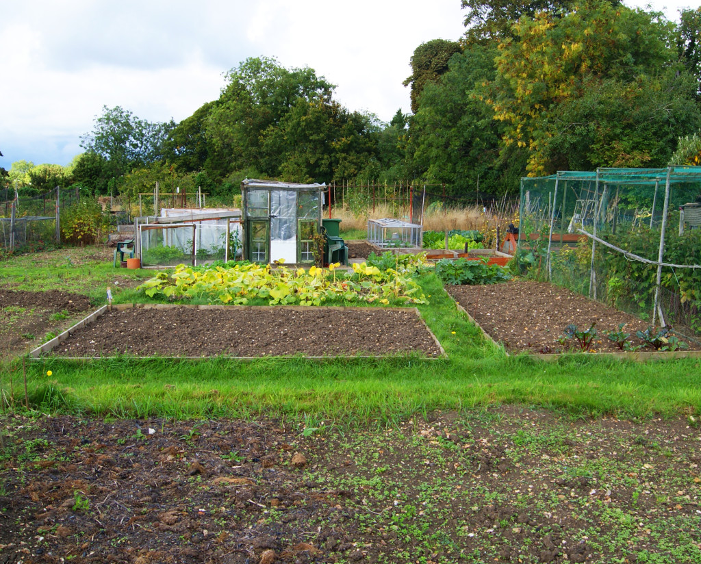 Tring Charities allotment